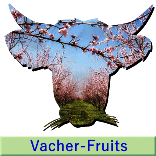 Vacher-fruits